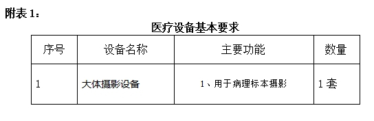 1736902533294635.jpg 11.jpg